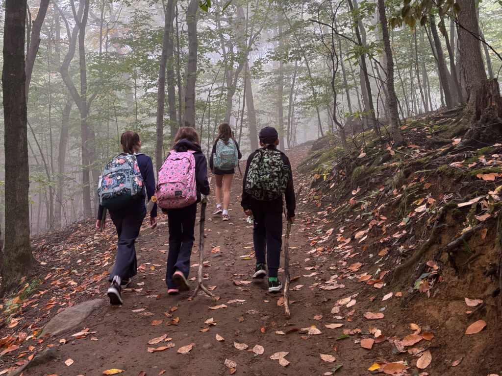 Four children with colourful backpacks and walking sticks hike up a leaf-covered forest trail on a misty autumn day.